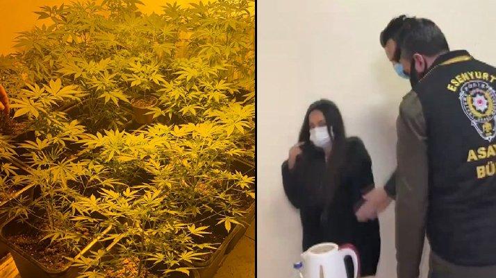 Üstü emlakçı altı uyuşturucu serası