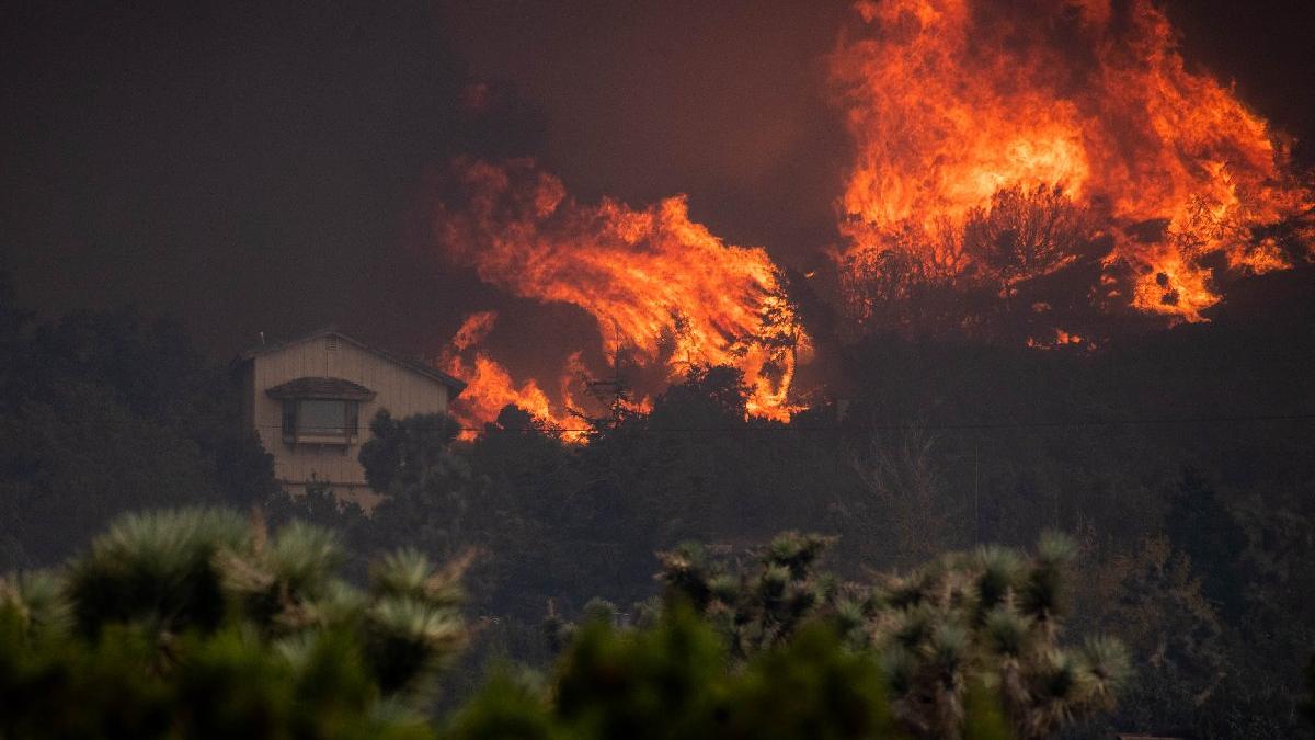 Orman yangınlarının faturası ağır oluyor