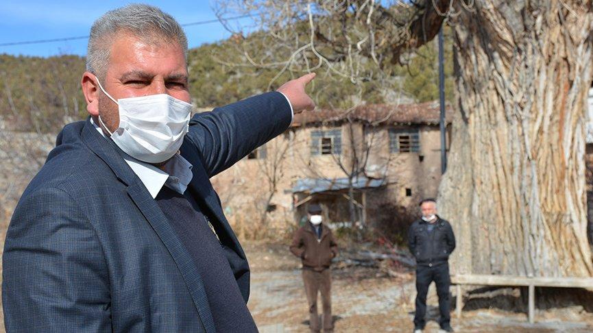 Köylüler 7 asırlık ağacın koruma altına alınmasını istiyor