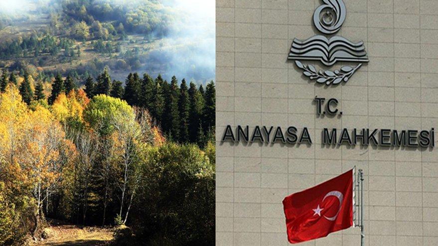 AYM, ormanları kurtaracak itirazı 3 yıldır bekletiyor