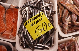 Çanakkale’de kar ve fırtına balık tezgahlarını vurdu