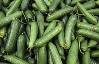 Ocakta en çok salatalığın fiyatı arttı