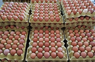 Pandemide yumurtaya talep yüzde 100 arttı
