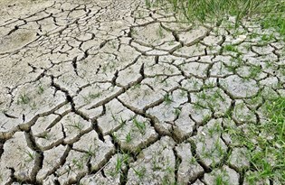 İklim değişikliği 