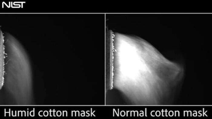 6048cbd1c8c37316f8d5506e