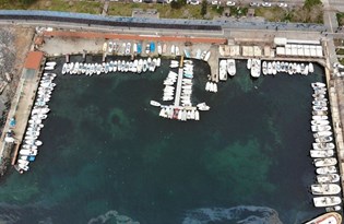 5 soruda Marmara Denizi'nde deniz salyası (müsilaj) tehlikesi