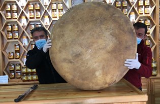 100 kiloluk dev gravyer peyniri