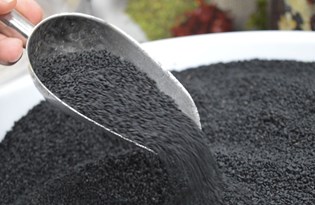 Çörek otunda fiyat artışı yüzde 100'e ulaştı