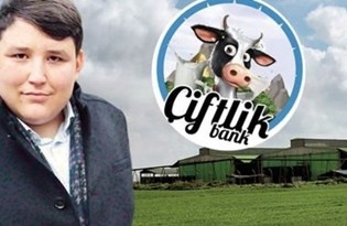 Mehmet Aydın (Tosun), Interpol'un en çok arananlar listesinde