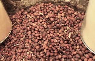 Federasyon Başkanı'ndan 