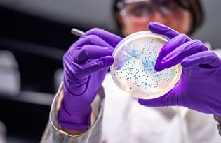 'Corona virüs bir yılda 12 bin mutasyon geçirdi'