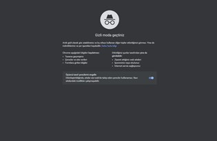 Gizli modda takibi sürdüren Google'a 5 milyar dolarlık dava