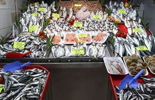 Çanakkale'de 'müsilaj' balık fiyatlarını artırdı