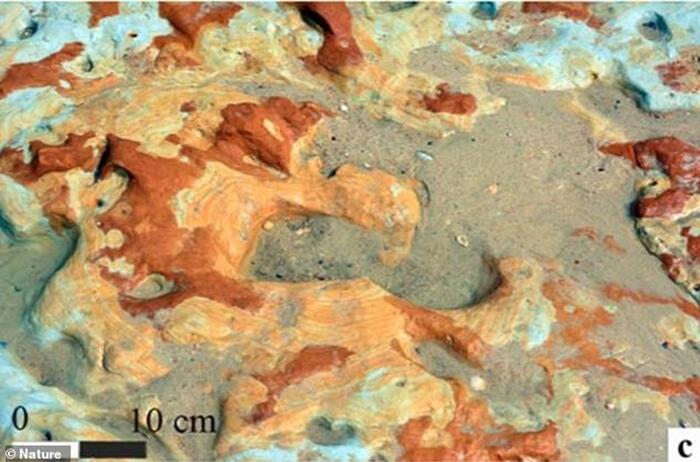 605ef2c9bf214416209fc2dc