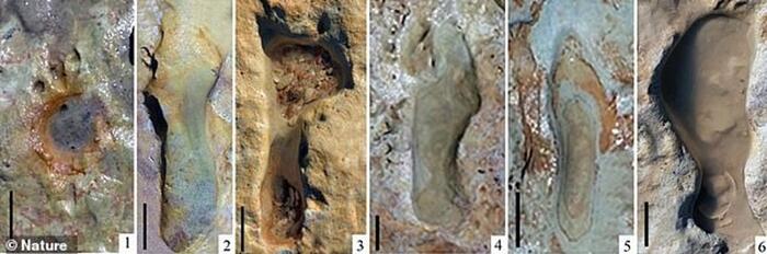 605ef2bbbf214416209fc2da