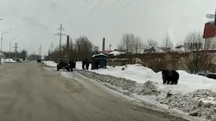 6051e159214ed804a47fe4a6