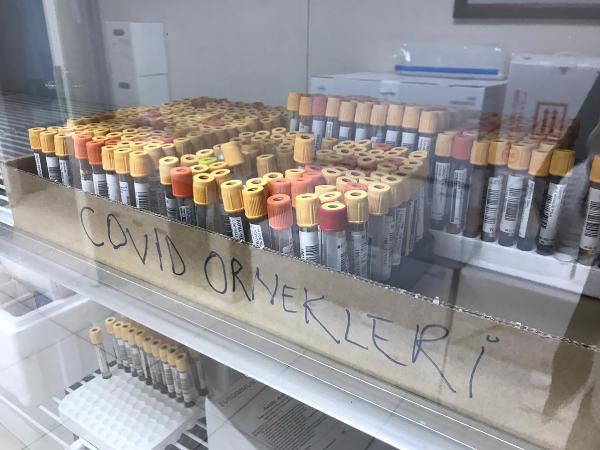 'Karadeniz mutasyonu' için bilimsel araştırma başlatıldı