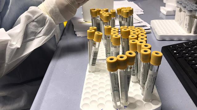 'Karadeniz mutasyonu' için bilimsel araştırma başlatıldı