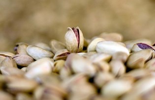 Fıstık fiyatları yüzde 200 artabilir