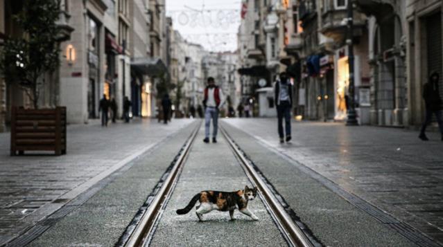 Risk haritasında kırmızı illerin sayısının 39'a çıkması uzmanları tedirgin etti: Türkiye tamamen kapanabilir