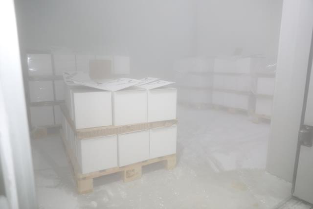 Sağlık Bakanlığı Türkiye'ye gelen BioNTech aşılarının görüntülerini paylaştı: -80 derecede özel odalarda saklanıyor