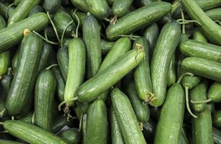 Şubatta en çok salatalık fiyatı arttı