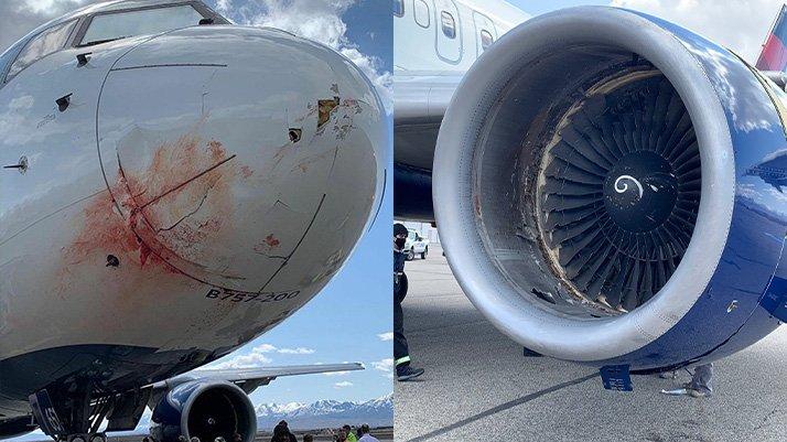 Utah Jazz'ın uçağı kuş sürüsüne çarptı! Acil iniş ve korku dolu anlar...