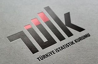 Sait Erdal Dinçer, TÜİK başkanlığına atandı