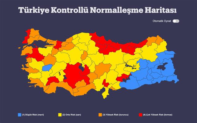 Türkiye'de koronavirüs: Salgınla geçen 1 yılda neler yaşandı?