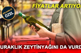 Ayçiçekteki artış zeytinyağını da etkiliyor (Fiyatlardaki artış sürecek mi?)