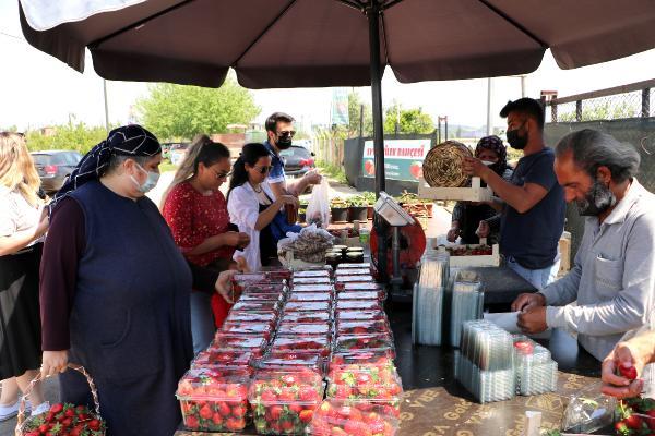 Binlerce kişi ziyaret ediyor! Tarlasından bizzat topladıkları çileği 15 liraya satın alıyorlar