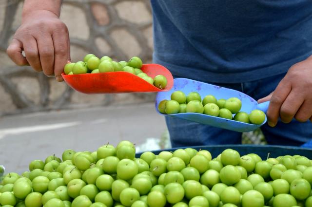 2 ay önce 800 liraya satılan eriğin kilosu 20 liraya düştü