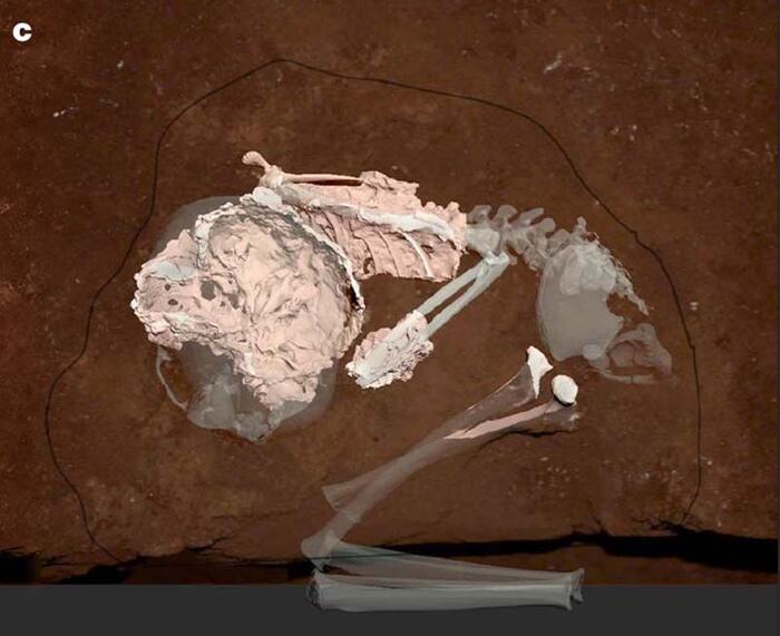 6093b9b52af10713402d9e4f