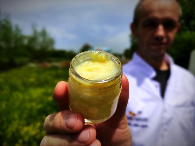 Gram gram sağdığı arı sütünün kilosunu 8 bin liradan satıyor