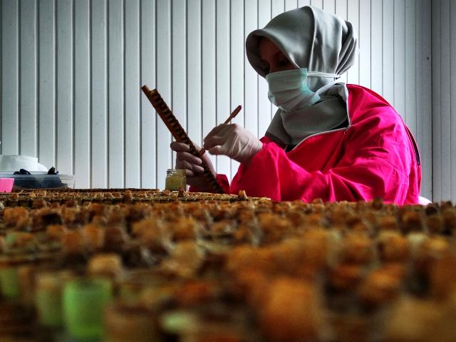 Gram gram sağdığı arı sütünün kilosunu 8 bin liradan satıyor