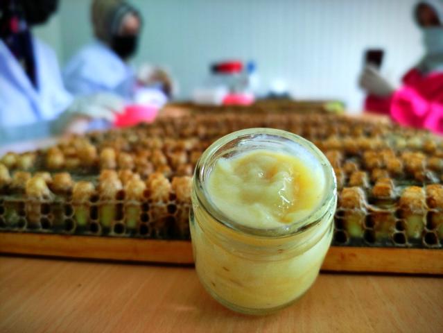 Gram gram sağdığı arı sütünün kilosunu 8 bin liradan satıyor