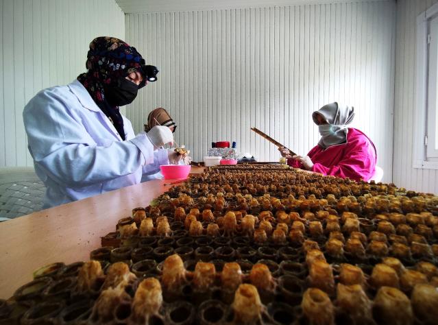 Gram gram sağdığı arı sütünün kilosunu 8 bin liradan satıyor