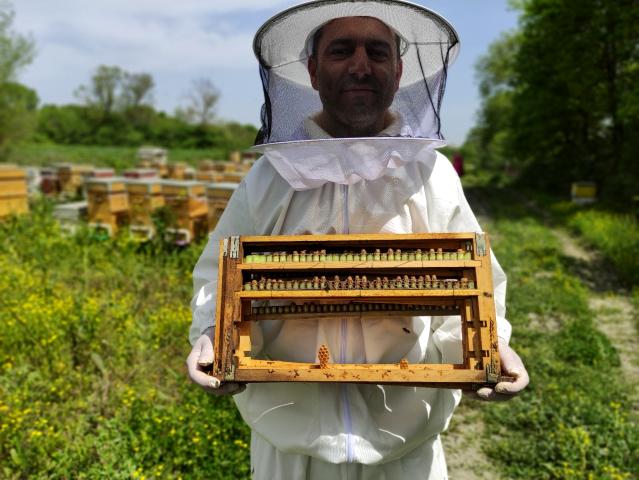Gram gram sağdığı arı sütünün kilosunu 8 bin liradan satıyor