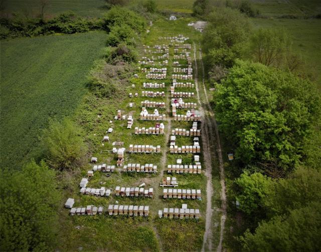 Gram gram sağılan arı sütünün kilosu 8 bin liradan satılıyor