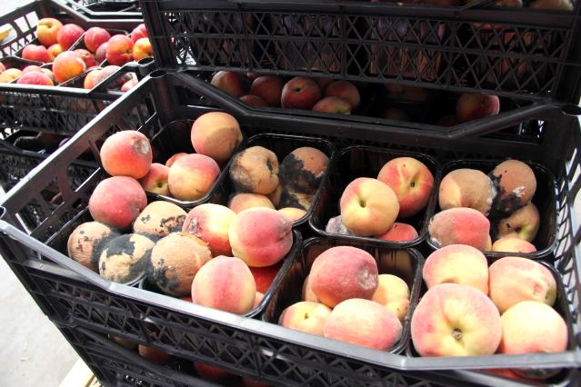 Tam kapanmada haller ile marketler arasındaki fiyat farkı yüzde 1250'ye kadar çıkıyor