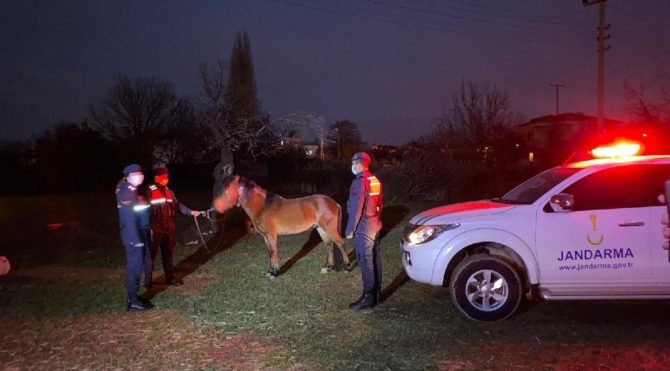 Ata eziyet eden şahıs gözaltına alındı