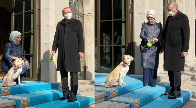 Erdoğan ailesi ‘Leblebi’ ile poz verdi
