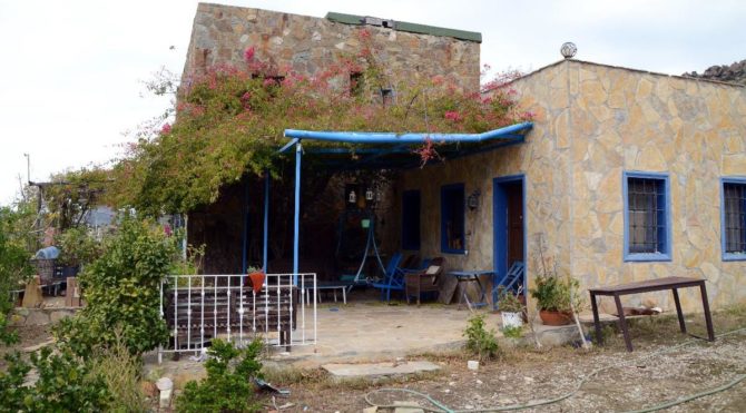 Mankenin villasını kamyonla soyan hırsızlar hayvanları bile çaldı