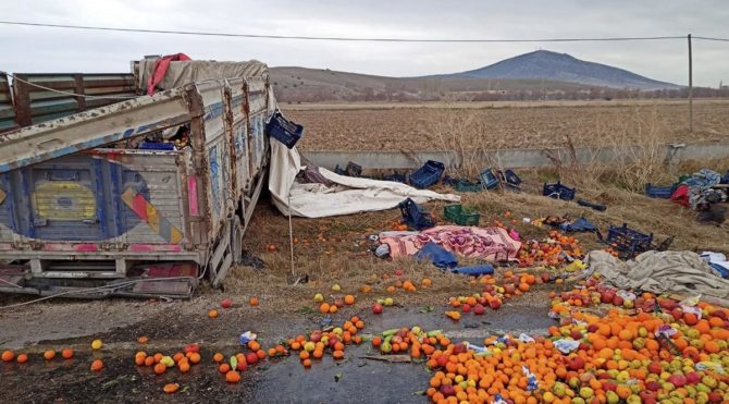 Meyve yüklü kamyon şarampole uçtu: 2 ölü, 2 yaralı