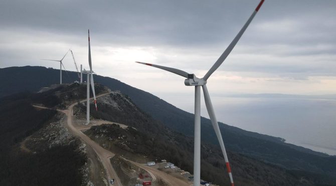 RES projesi için kesilen ağaçlar görüntülendi