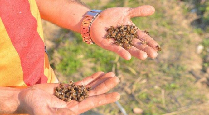 Uzmanından ‘stok’ uyarısı