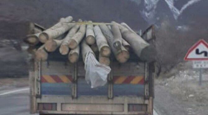 AKP İlçe Başkanı elektrik direklerini satarken yakalandı, iddiası