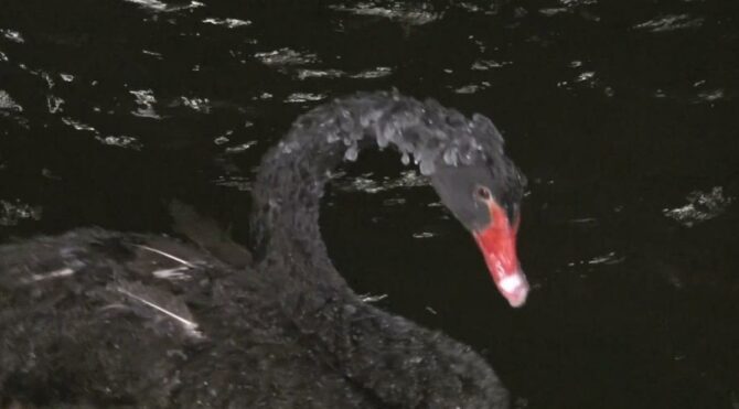 Ankara buz tuttu, hava sıcaklığı -17 dereceye kadar düştü