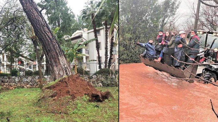 Muğla'da fırtına ağaçları söktü ve vatandaşlar selde mahsur kaldı