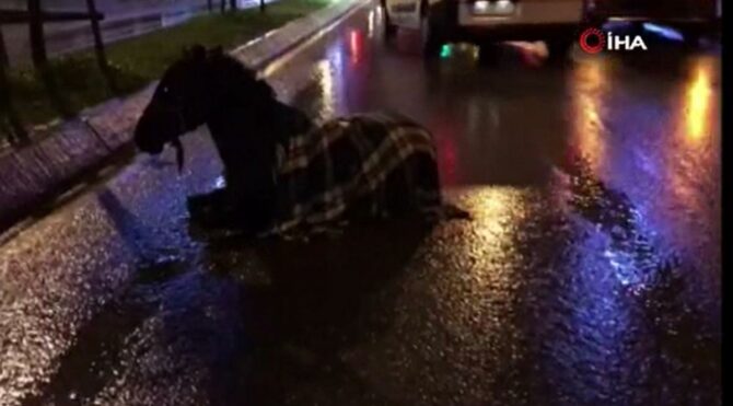 Arnavutköy’de minibüs ata çarptı